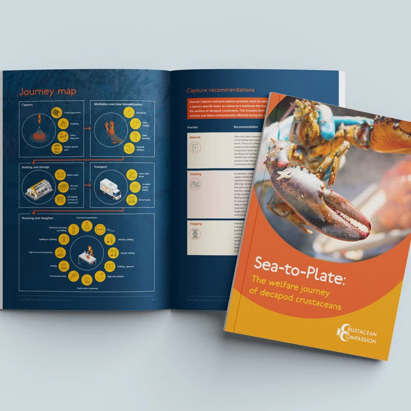 Crustacean Compassion