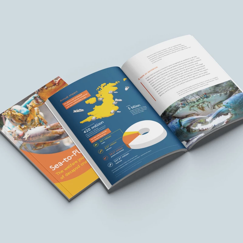 Crustacean Compassion