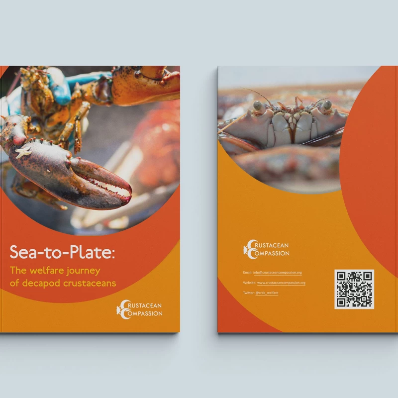 Crustacean Compassion