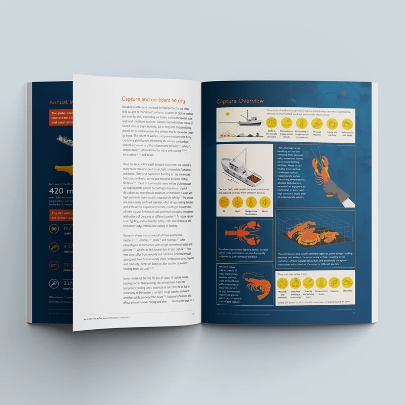 Crustacean Compassion