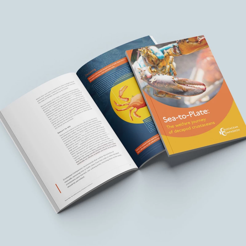 Crustacean Compassion