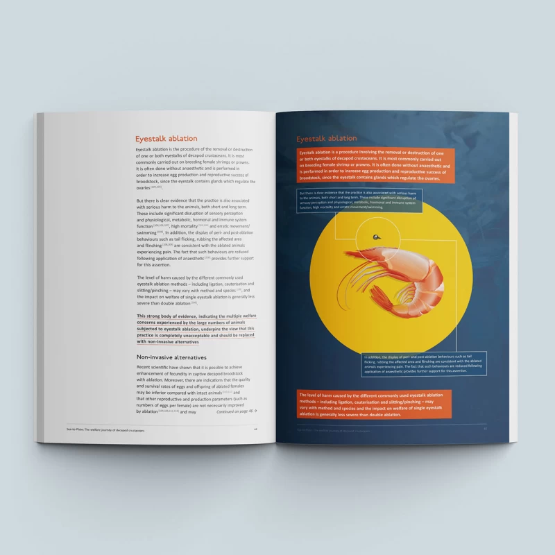 Crustacean Compassion